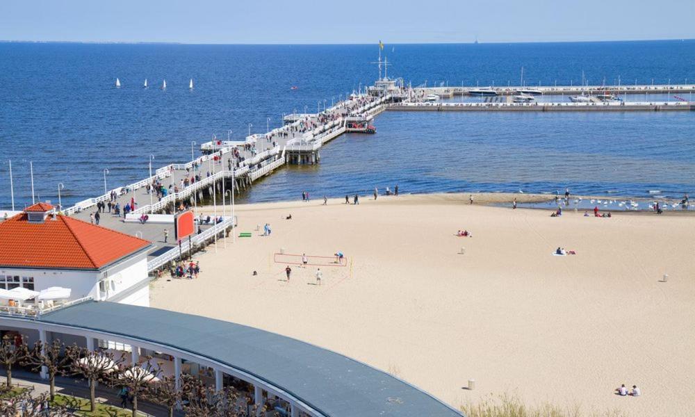 Haffnera * Sopot